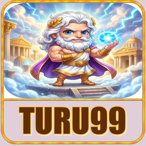 Troubleshooting turu99